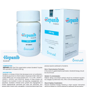 Everest Pharmaceuticals Hepanib 200 mg Sorafenib original packaging